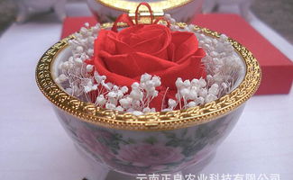 云南菲雅保鮮花 手工工藝品 紀(jì)念品 收藏品直銷價格 廠家 圖片
